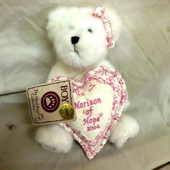 Horizon of Hope bear Boyd bear - Picture 1 of 2